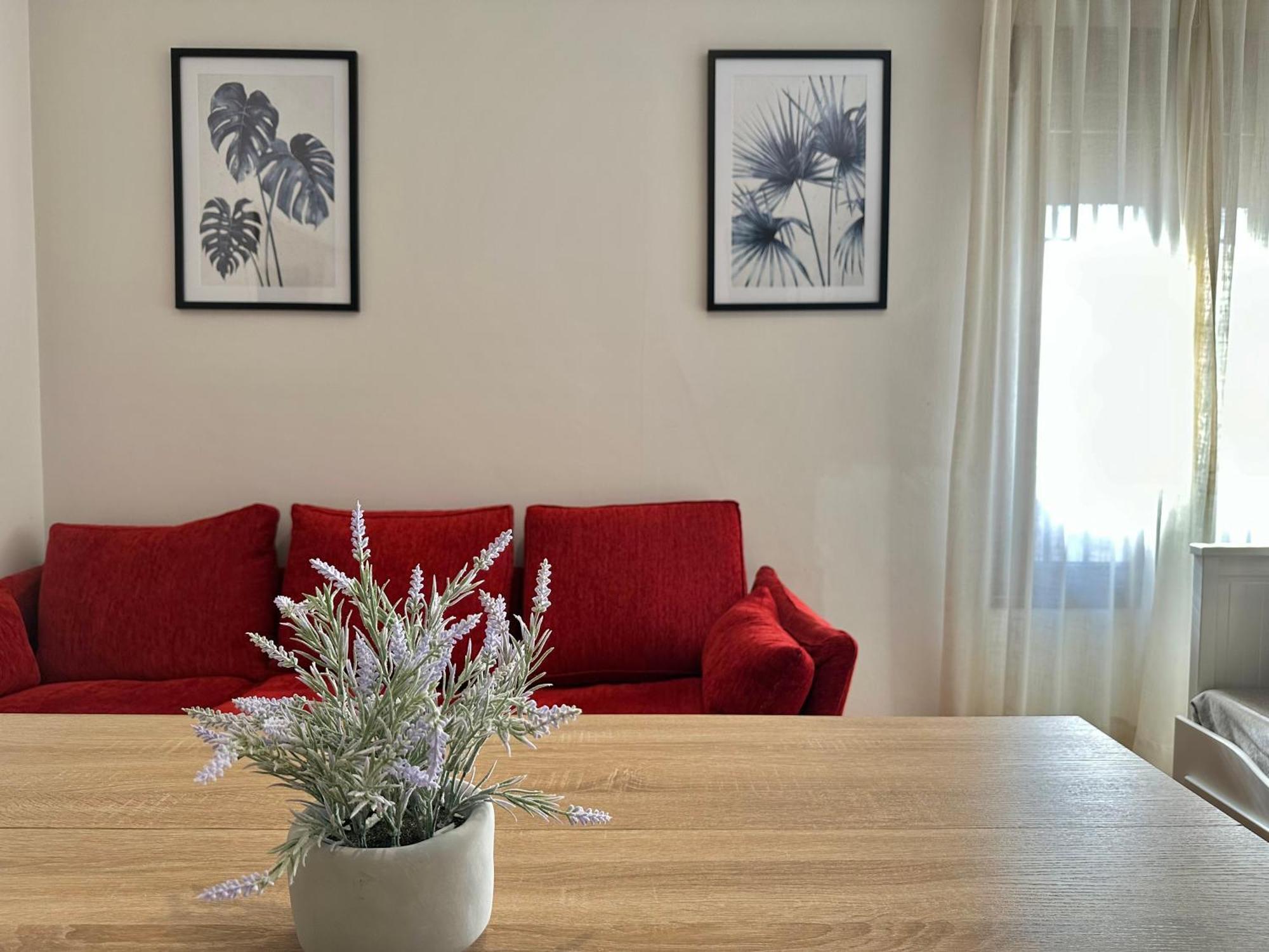 La Sacristia De San Pablo Apartment Kordoba Bagian luar foto